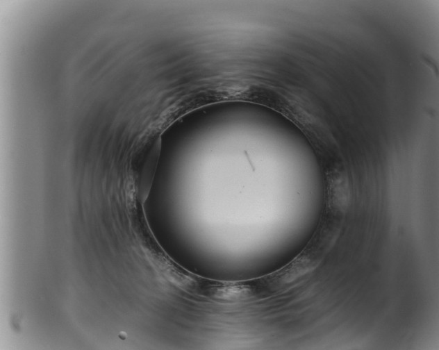 X0000100880274200806271145