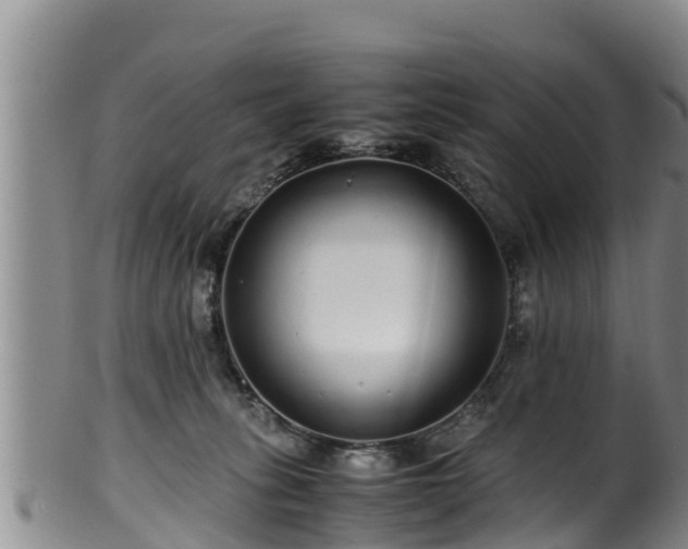 X0000100880275200806271145