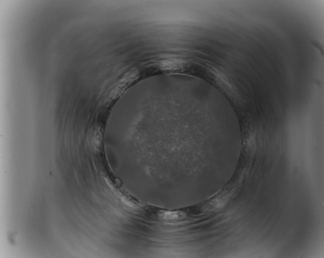 X0000100880277200806271145