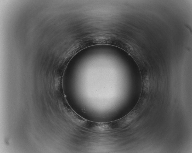 X0000100880278200806271145