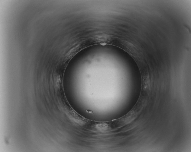 X0000100880279200806271145