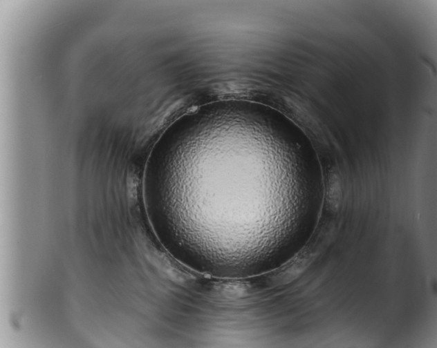 X0000100880282200806271145