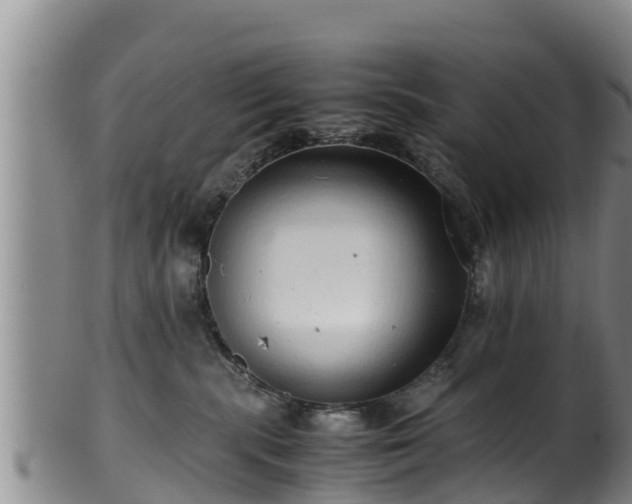 X0000100880283200806271145