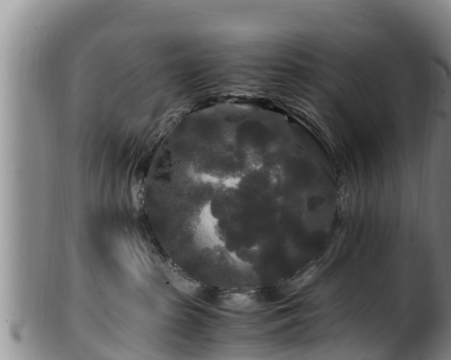 X0000100880285200806271145