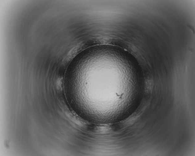 X0000100880286200806271145