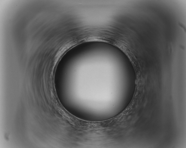 X0000100880289200806271144