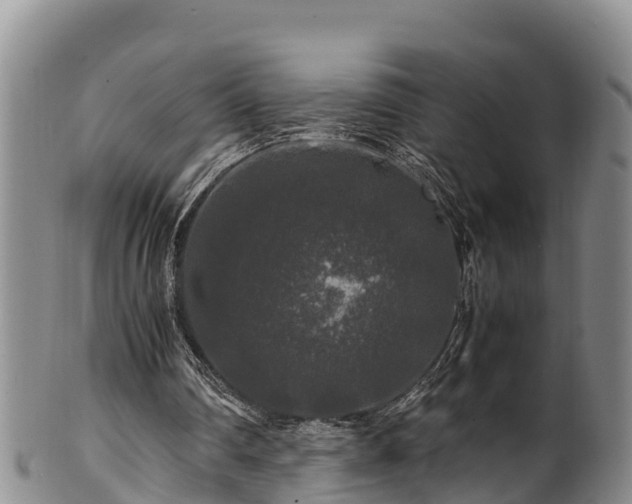 X0000100880290200806271144