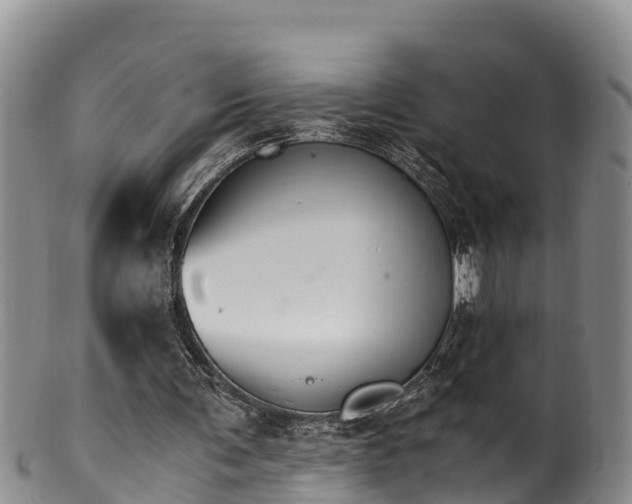 X0000100880291200806271144