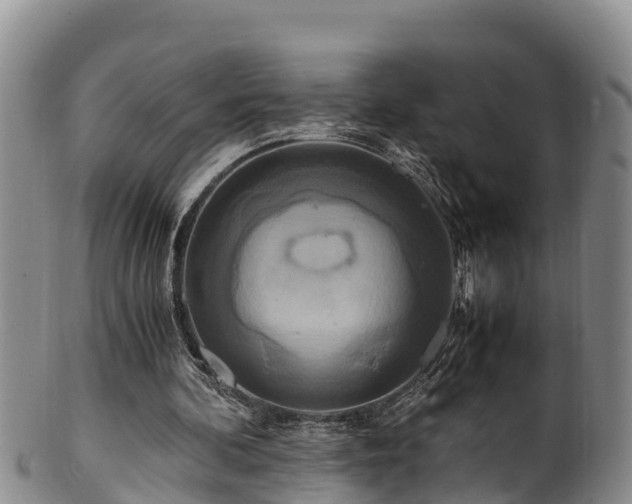 X0000100880292200806271144