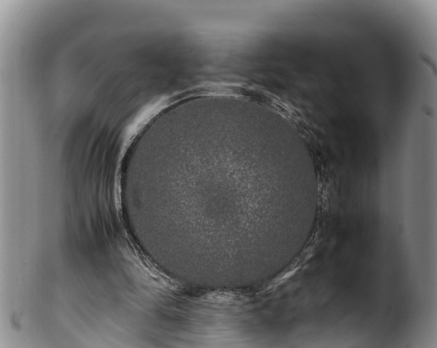 X0000100880294200806271144