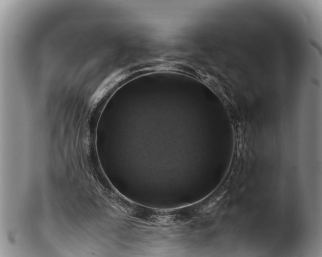 X0000100880295200806271144