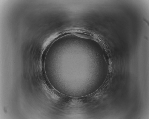 X0000100880296200806271144