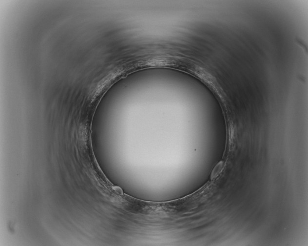 X0000100880297200806271144