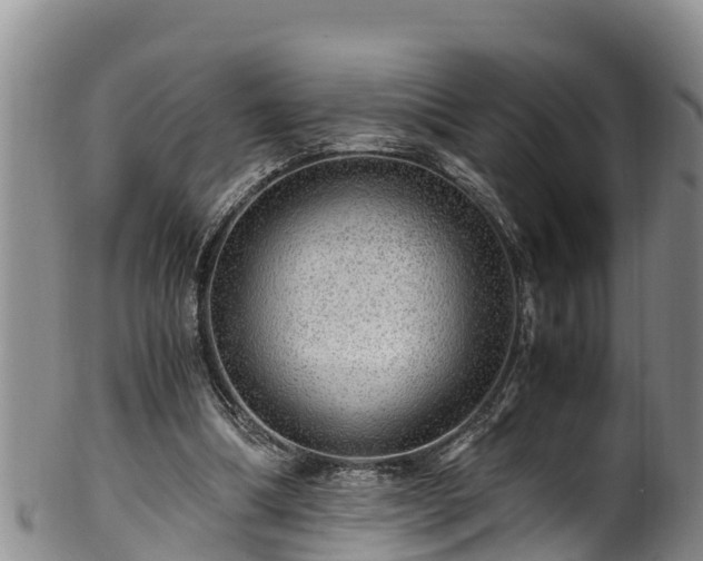 X0000100880298200806271144