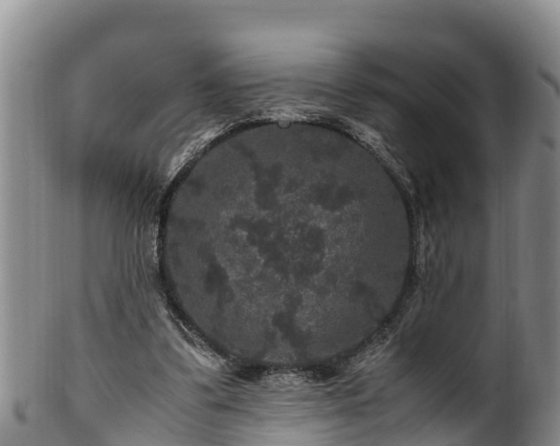 X0000100880299200806271144