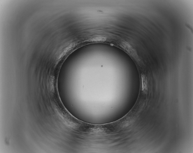 X0000100880300200806271144