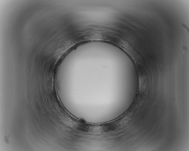 X0000100880301200806271144