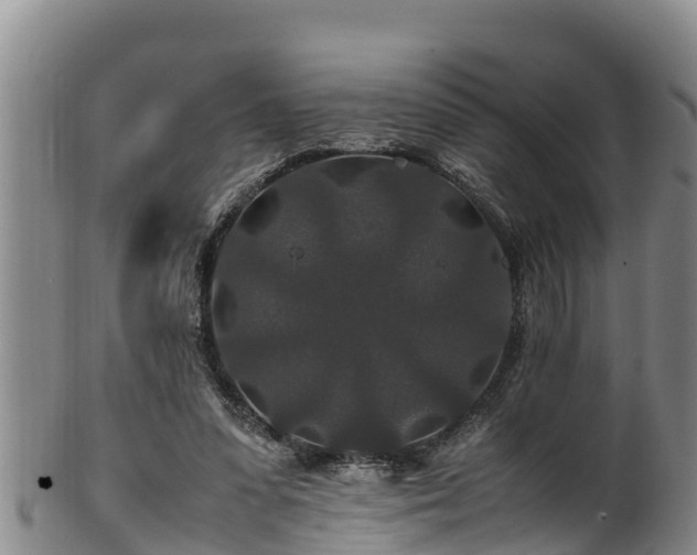 X0000100880303200806271144