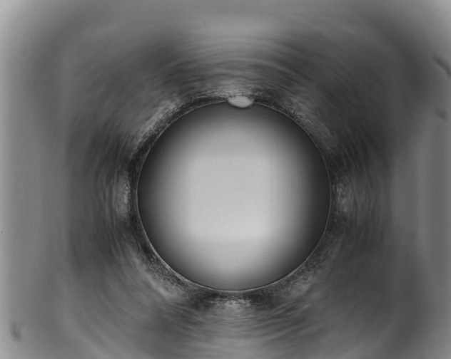 X0000100880304200806271144