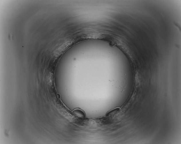 X0000100880305200806271144