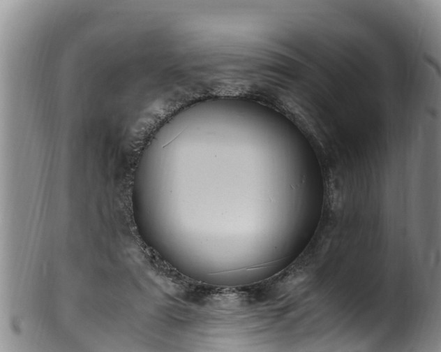 X0000100880307200806271144