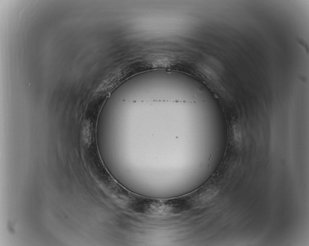 X0000100880311200806271144