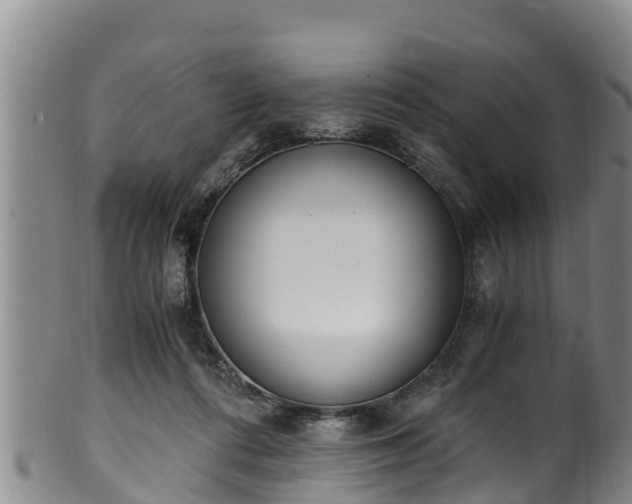 X0000100880312200806271144