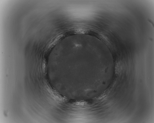 X0000100880314200806271144