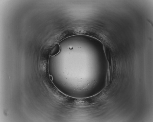 X0000100880315200806271144