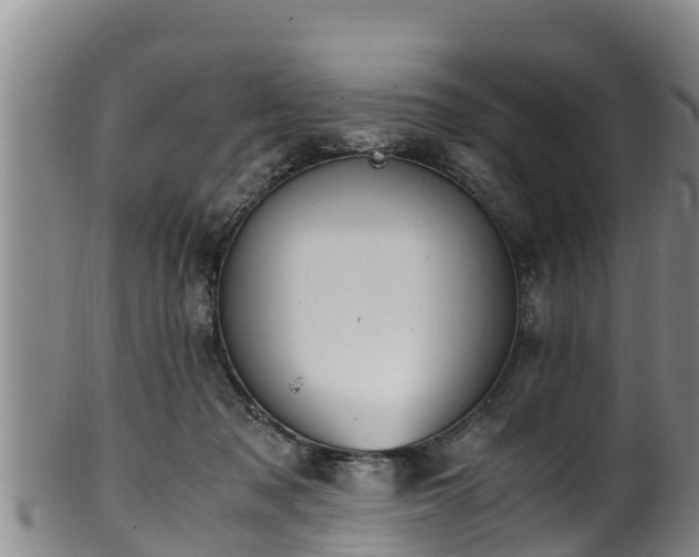 X0000100880317200806271144