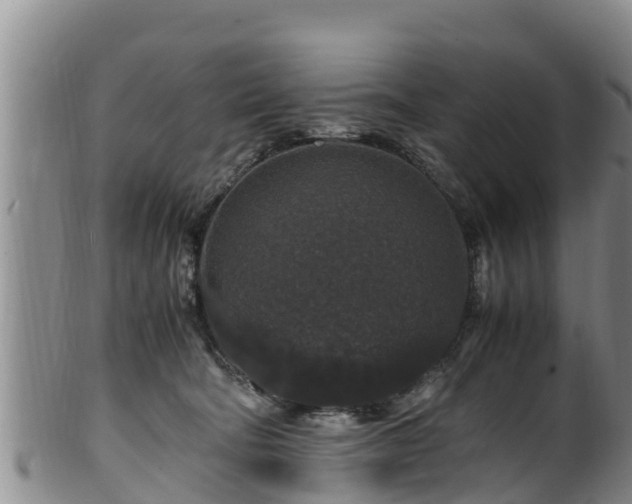 X0000100880322200806271144