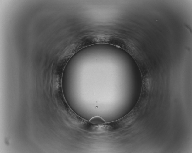 X0000100880323200806271144