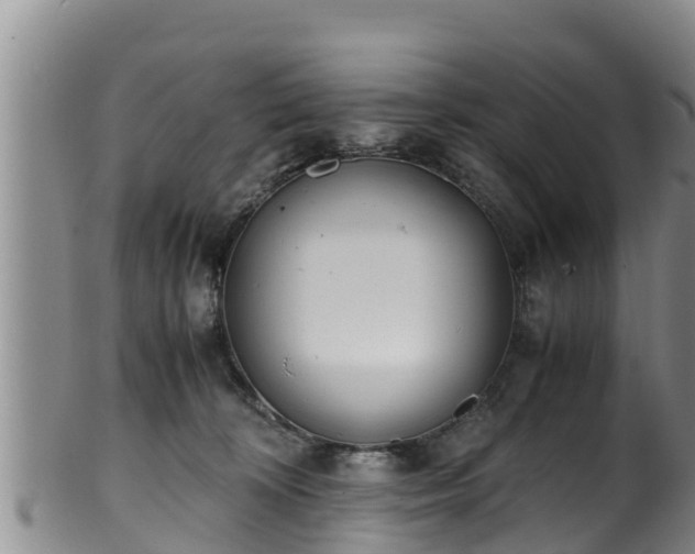 X0000100880324200806271144