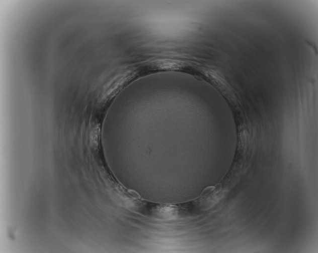 X0000100880325200806271144