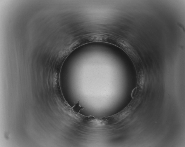 X0000100880326200806271144