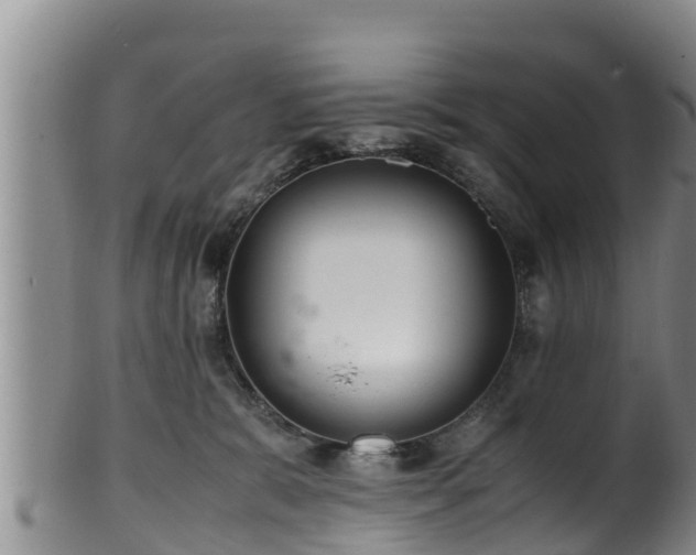 X0000100880327200806271144