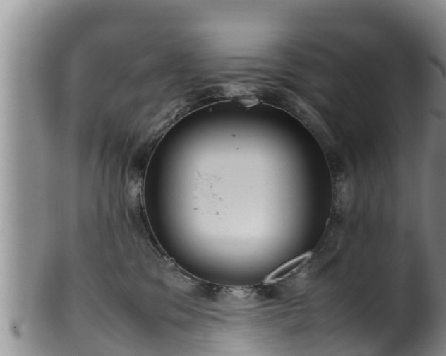 X0000100880329200806271144