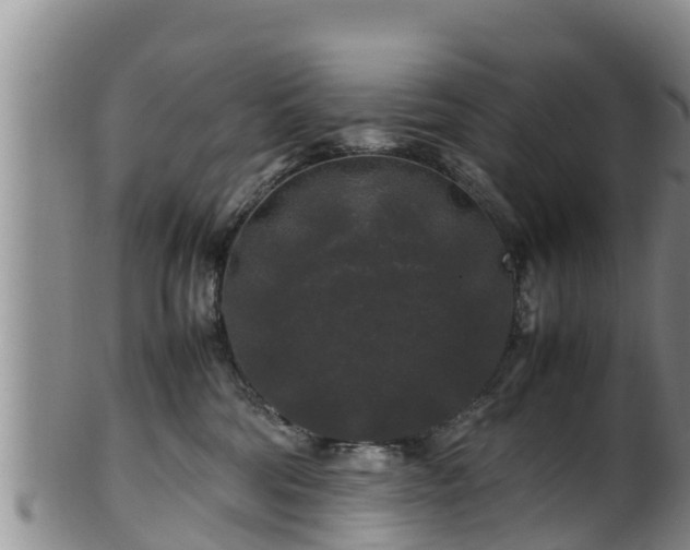 X0000100880330200806271144