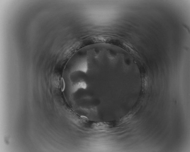 X0000100880331200806271144