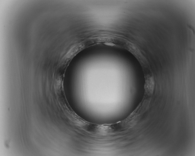 X0000100880333200806271143