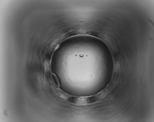 X0000100880335200806271143