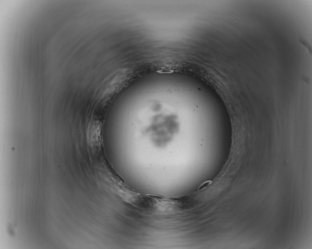 X0000100880336200806271143