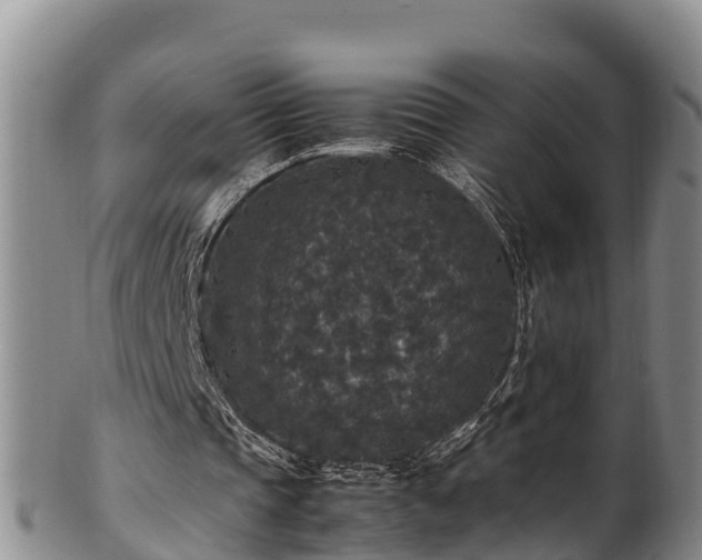 X0000100880337200806271143