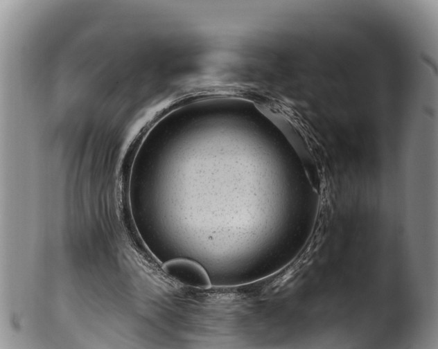 X0000100880342200806271143