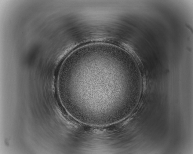 X0000100880346200806271143