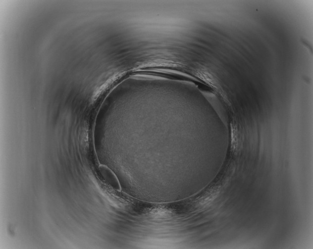 X0000100880348200806271143