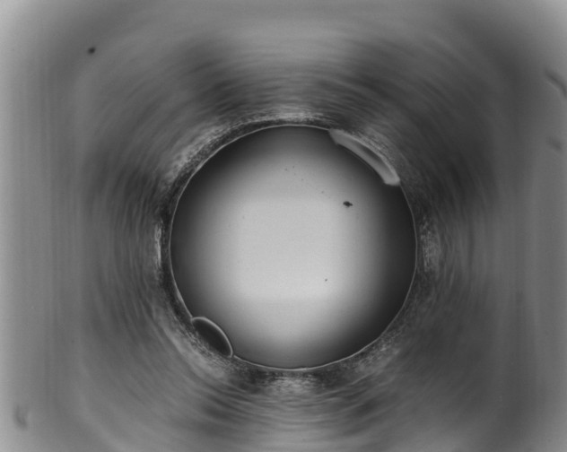 X0000100880350200806271143