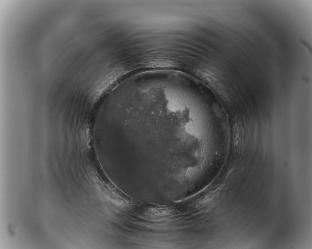 X0000100880351200806271143