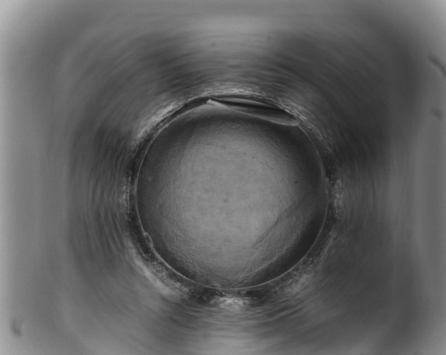 X0000100880352200806271143