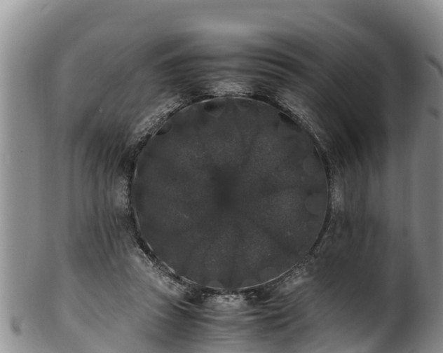 X0000100880353200806271143